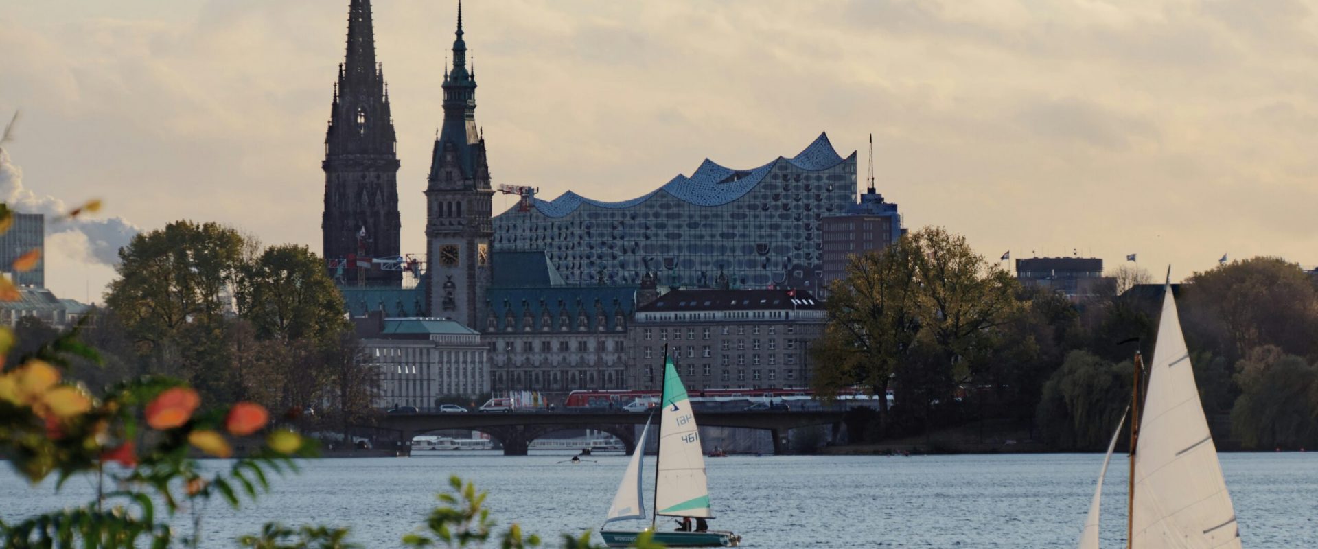 niklas-ohlrogge-niamoh-de-Vnves2tovCs-unsplash